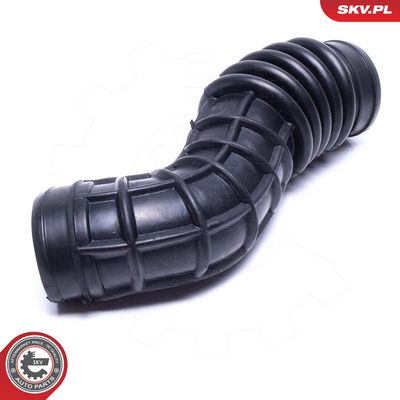Article Picture