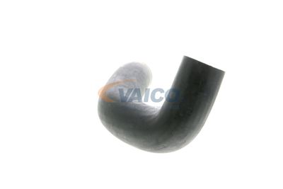 FURTUN EAR SUPRAALIMENTARE VAICO V240698 45