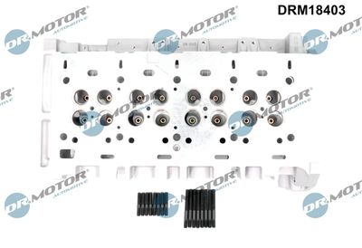 CHIULASA Dr.Motor Automotive DRM18403 1