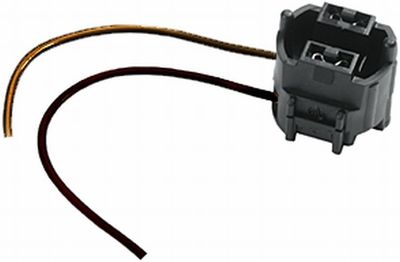 Stecker