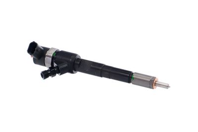 INJECTOR REMANTE 002003001717R 46