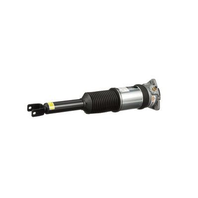 LUFTFEDERBEIN Arnott AS2965 14