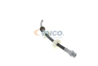 FURTUN FRANA VAICO V240081 36