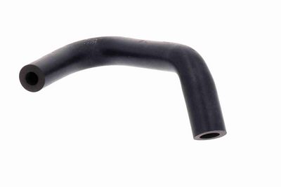 FURTUN RADIATOR VAICO V241111 7