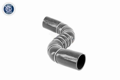 FURTUN EAR SUPRAALIMENTARE ACKOJA A389602 3