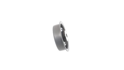 SPANNROLLE ZAHNRIEMEN SKF VKM75113 28