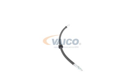 FURTUN FRANA VAICO V460285 46