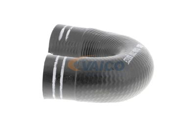 FURTUN EAR SUPRAALIMENTARE VAICO V240804 24
