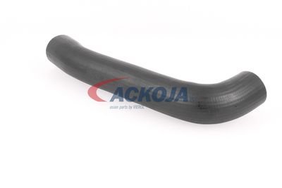 FURTUN EAR SUPRAALIMENTARE ACKOJA A379602 41