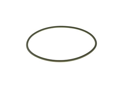 O-ring