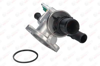 FLANSA LICHID RACIRE BIRTH 80007 10