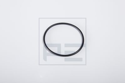 inel de etansare PE Automotive 031.287-00A