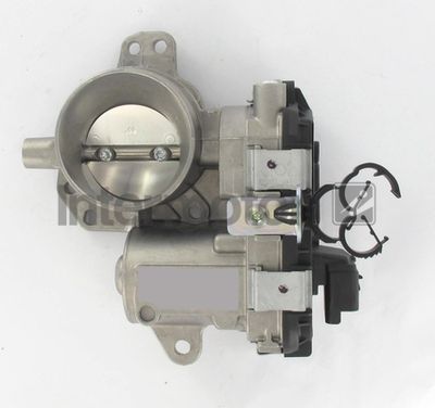 Throttle Body Intermotor 68445