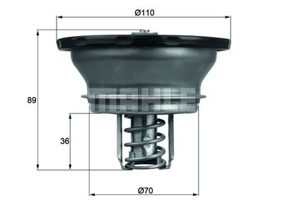 Termostat, kylvätska MAHLE THD 3 76