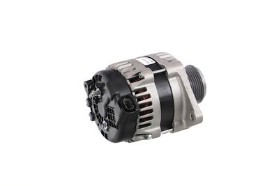 GENERATOR / ALTERNATOR REMANTE 011003001146R 41