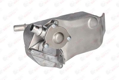 RADIATOR ULEI ULEI MOTOR BIRTH 80276 6