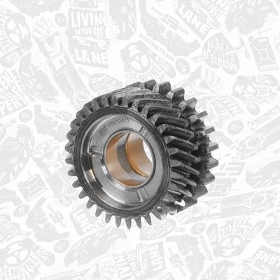 ROATA DINTATA ARBORE DE ECHILIBRARE