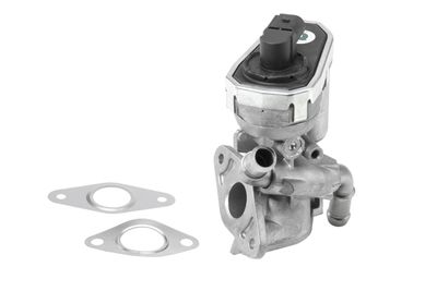 EGR Valve 710941R