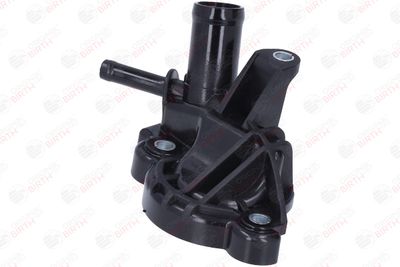 FLANSA LICHID RACIRE BIRTH 81890 3