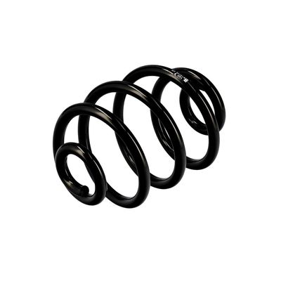 ARC SPIRAL EIBACH R10173 16