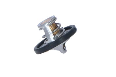 TERMOSTAT LICHID RACIRE NRF 725187 10