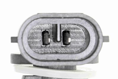 GLüHLAMPE NEBELSCHEINWERFER VEMO V99840087 1