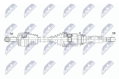 PLANETARA NTY NPWFT094