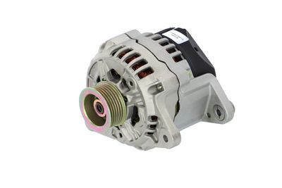 GENERATOR / ALTERNATOR REMANTE 011003000033R 8