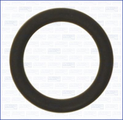 Уплотнительное кольцо, выпуск масла (компрессор) AJUSA 16080900 для BMW X1