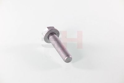 SURUB CAPAT DE AX GH GH391539 49