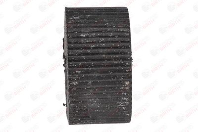 BUCSA ARBORE DE DIRECTIE BIRTH 4848 10