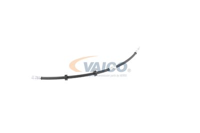 FURTUN FRANA VAICO V104226 23