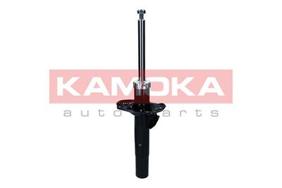 Shock Absorber 2001185