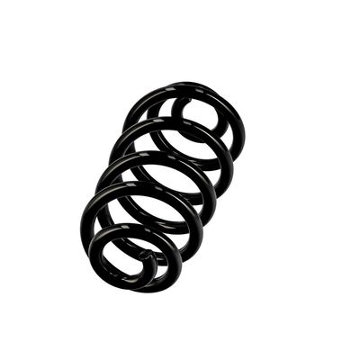 ARC SPIRAL EIBACH R10114 2