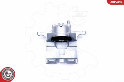 Brake Caliper 44SKV222