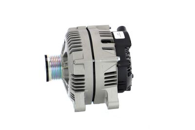 GENERATOR / ALTERNATOR REMANTE 011003000053R 13