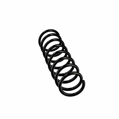 ARC SPIRAL EIBACH R10378 24