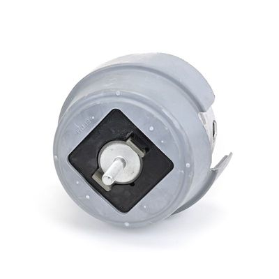 LAGERUNG MOTOR DELPHI TEM288 21