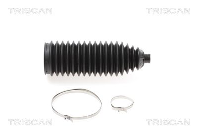 TRISCAN 8500 11012 Пыльник рулевой рейки  для BMW X1 (Бмв X1)