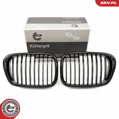 GRILA RADIATOR ESEN SKV 66SKV156 9