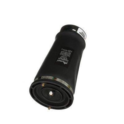 LUFTFEDER FAHRWERK Arnott A2202 71