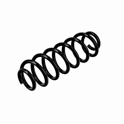 ARC SPIRAL EIBACH R10862 16
