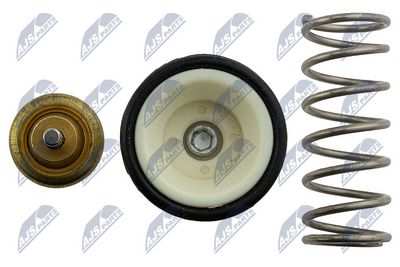 TERMOSTAT LICHID RACIRE NTY CTMWW065 3