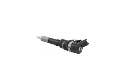 INJECTOR REMANTE 002003000013R 15