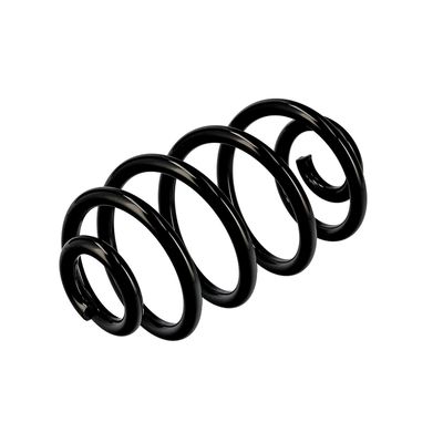 ARC SPIRAL EIBACH R10050 16
