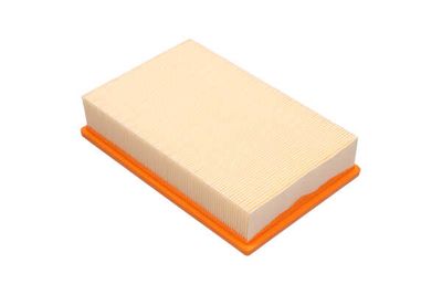 FILTRU AER AMC Filter CA305 13