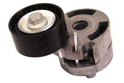 INTINZATOR CUREA CUREA DISTRIBUTIE