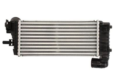 INTERCOOLER COMPRESOR THERMOTEC DAG025TT 1