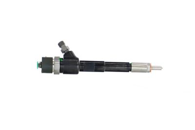 INJECTOR REMANTE 002003002244R 41