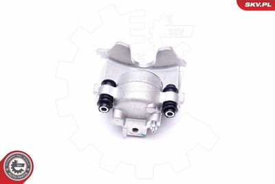 Brake Caliper 45SKV681